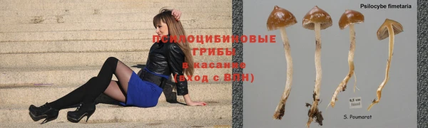 ПСИЛОЦИБИНОВЫЕ ГРИБЫ Магадан