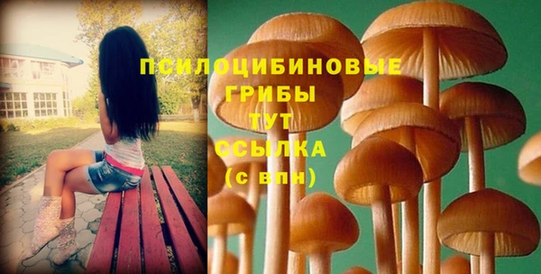 ПСИЛОЦИБИНОВЫЕ ГРИБЫ Магадан