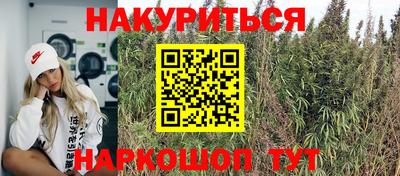 PSILOCYBIN Будённовск