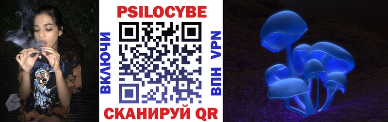 blacksprut ТОР  Дмитров  Псилоцибиновые грибы GOLDEN TEACHER 