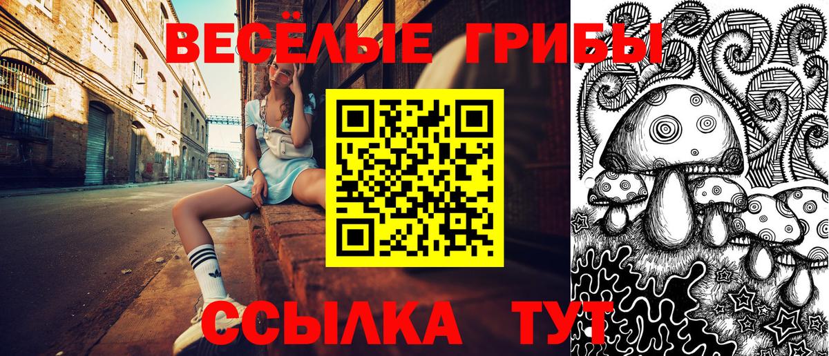 Галлюциногенные грибы прущие грибы  Вход с VPN  Дмитров 