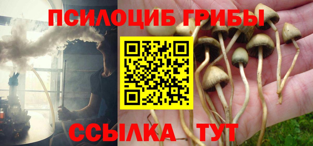 Галлюциногенные грибы MAGIC MUSHROOMS  Псилоцибиновые грибы MAGIC MUSHROOMS  где найти   Дмитров 